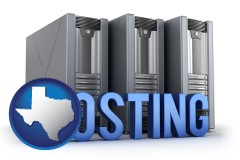 texas map icon and web site hosting servers and a caption